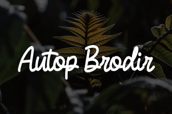 Autop Brodir: The Versatile Typeface for Scroll-Stopping Brand Content